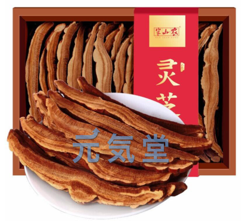 霊芝